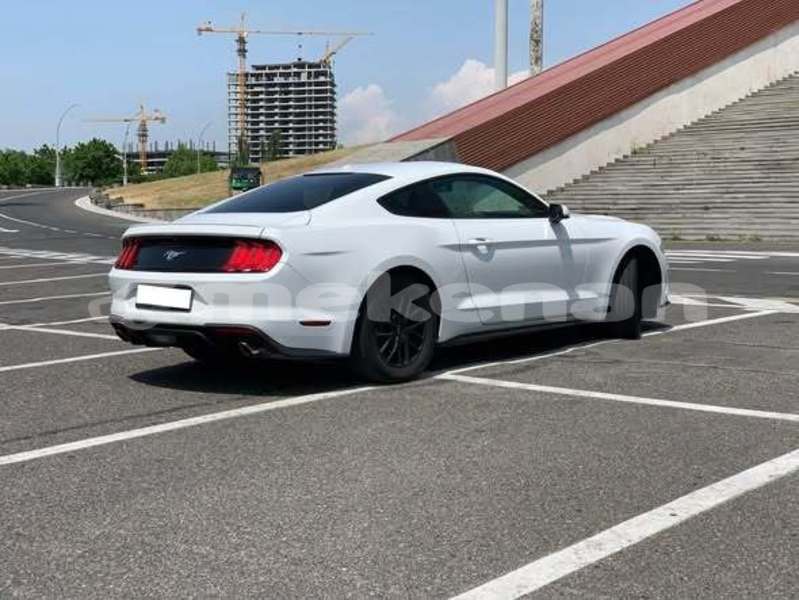 Big with watermark ford mustang armavir armavir 6283