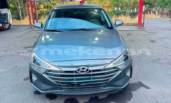 Buy Used Hyundai Elantra Other Car in Armavir in Armavir