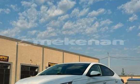 Buy Used Hyundai Elantra Other Car in Ararat in Ararat