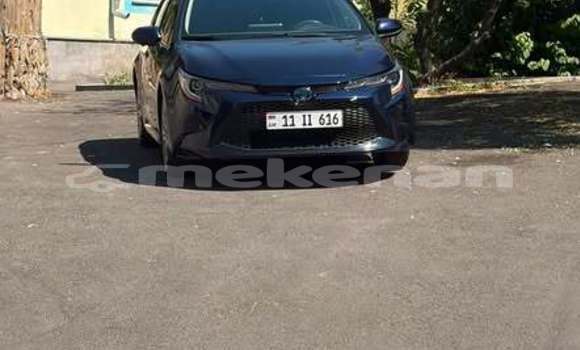Buy Used Toyota Corolla Other Car in Armavir in Armavir