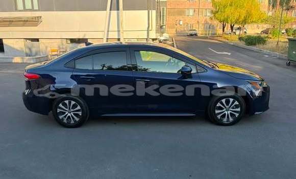 Buy Used Toyota Corolla Other Car in Armavir in Armavir Buy Used Toyota Corolla Other Car in Armavir in Armavir