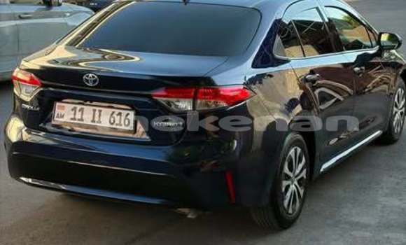 Buy Used Toyota Corolla Other Car in Armavir in Armavir Buy Used Toyota Corolla Other Car in Armavir in Armavir