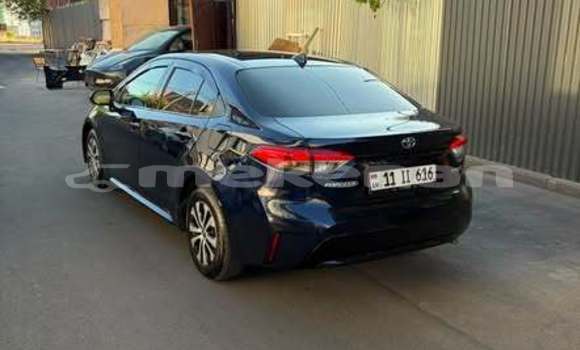 Buy Used Toyota Corolla Other Car in Armavir in Armavir Buy Used Toyota Corolla Other Car in Armavir in Armavir