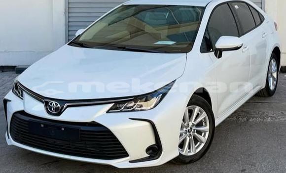 Buy Used Toyota Corolla White Car in Armavir in Armavir