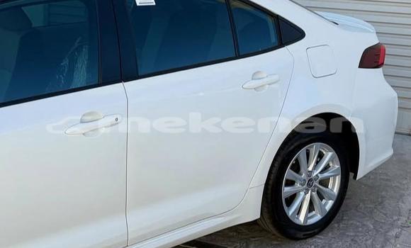 Buy Used Toyota Corolla White Car in Armavir in Armavir Buy Used Toyota Corolla White Car in Armavir in Armavir