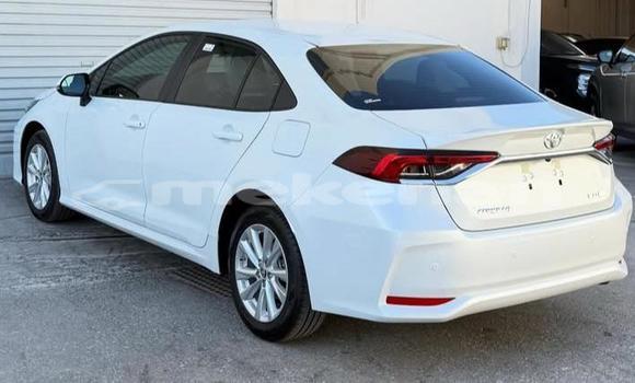 Buy Used Toyota Corolla White Car in Armavir in Armavir Buy Used Toyota Corolla White Car in Armavir in Armavir