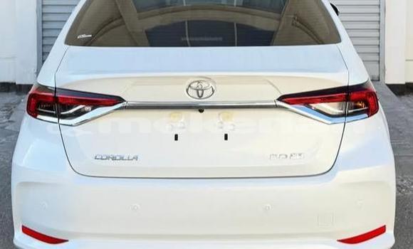 Buy Used Toyota Corolla White Car in Armavir in Armavir Buy Used Toyota Corolla White Car in Armavir in Armavir