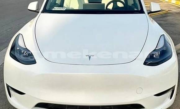 Buy Used Tesla Model X White Car in Armavir in Armavir