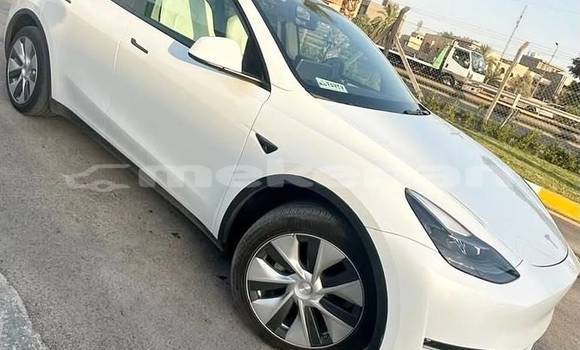 Buy Used Tesla Model X White Car in Armavir in Armavir Buy Used Tesla Model X White Car in Armavir in Armavir