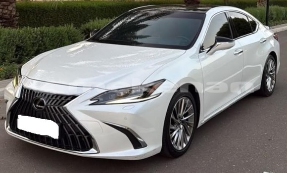Buy Used Lexus ES White Car in Armavir in Armavir