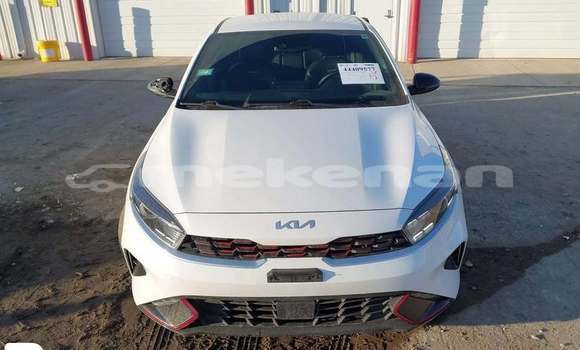 Buy Used Kia Potentia White Car in Goris in Syunik