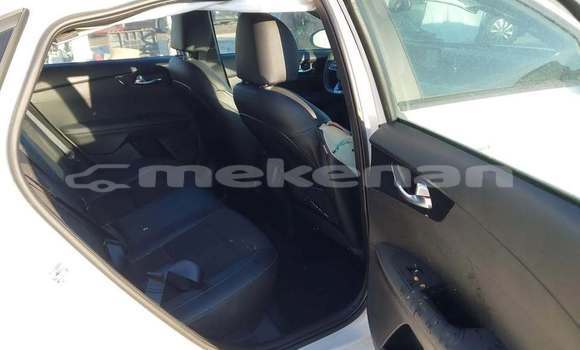 Buy Used Kia Potentia White Car in Goris in Syunik Buy Used Kia Potentia White Car in Goris in Syunik