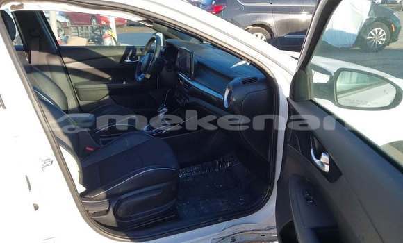 Buy Used Kia Potentia White Car in Goris in Syunik Buy Used Kia Potentia White Car in Goris in Syunik