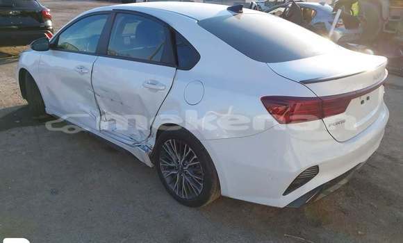 Buy Used Kia Potentia White Car in Goris in Syunik Buy Used Kia Potentia White Car in Goris in Syunik