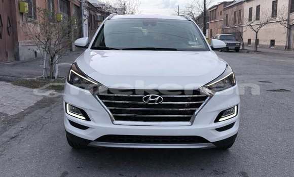 Buy Used Hyundai Tucson White Car in Ararat in Ararat