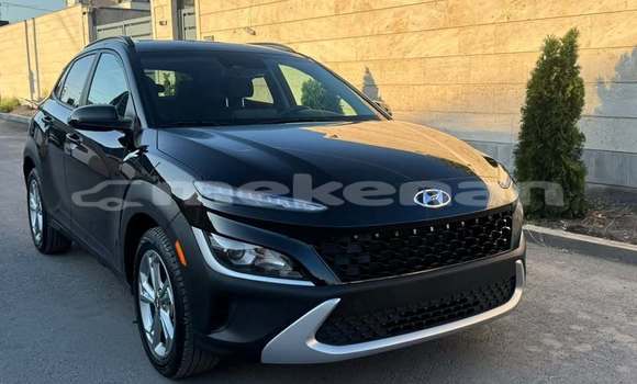 Buy Used Hyundai Kona Black Car in Artashat in Ararat