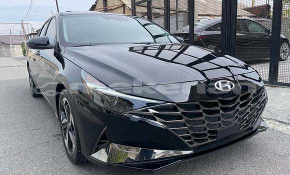 Buy Used Hyundai Elantra Black Car in Akhtala in Lori
