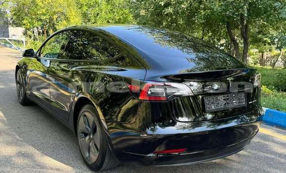 Buy Used Tesla Model 3 Black Car in Artashat in Ararat Buy Used Tesla Model 3 Black Car in Artashat in Ararat