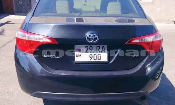 Buy Used Toyota Corolla Other Car in Armavir in Armavir Buy Used Toyota Corolla Other Car in Armavir in Armavir