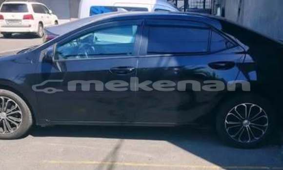 Buy Used Toyota Corolla Other Car in Armavir in Armavir Buy Used Toyota Corolla Other Car in Armavir in Armavir