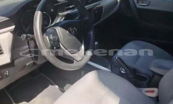 Buy Used Toyota Corolla Other Car in Armavir in Armavir Buy Used Toyota Corolla Other Car in Armavir in Armavir