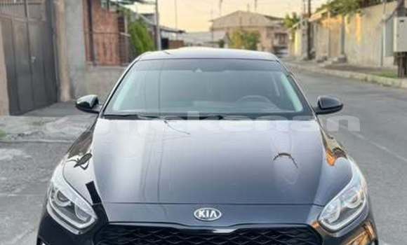 Buy Used Kia Forte Other Car in Armavir in Armavir Buy Used Kia Forte Other Car in Armavir in Armavir