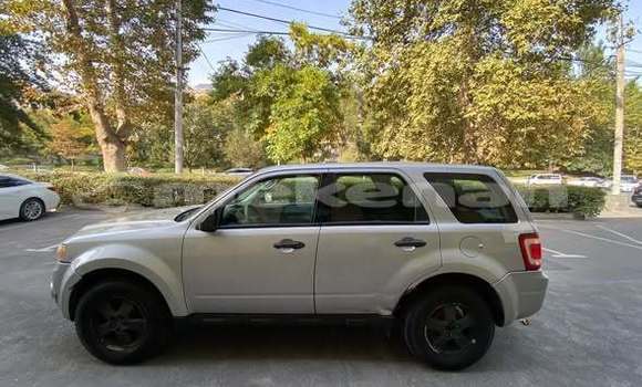 Buy Used Ford Escape Other Car in Akhtala in Lori