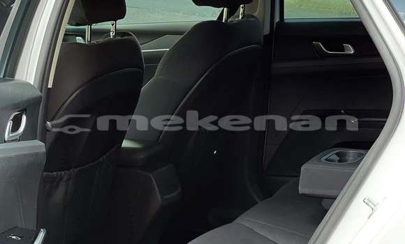 Buy Used Kia K5 White Car in Yerevan in Yerevan Buy Used Kia K5 White Car in Yerevan in Yerevan