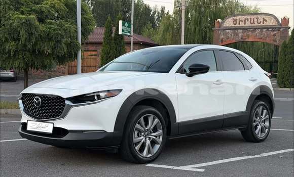 Buy Used Mazda CX-3 White Car in Yerevan in Yerevan