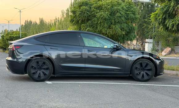 Buy Used Tesla Model 3 Other Car in Yerevan in Yerevan Buy Used Tesla Model 3 Other Car in Yerevan in Yerevan