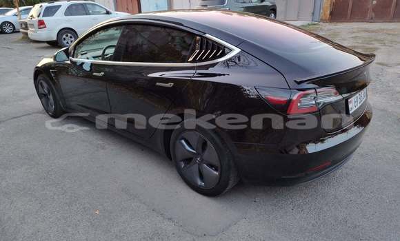 Buy Used Tesla Model 3 Black Car in Yerevan in Yerevan Buy Used Tesla Model 3 Black Car in Yerevan in Yerevan