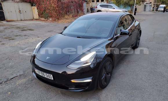 Buy Used Tesla Model 3 Black Car in Yerevan in Yerevan Buy Used Tesla Model 3 Black Car in Yerevan in Yerevan