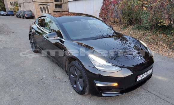 Buy Used Tesla Model 3 Black Car in Yerevan in Yerevan Buy Used Tesla Model 3 Black Car in Yerevan in Yerevan