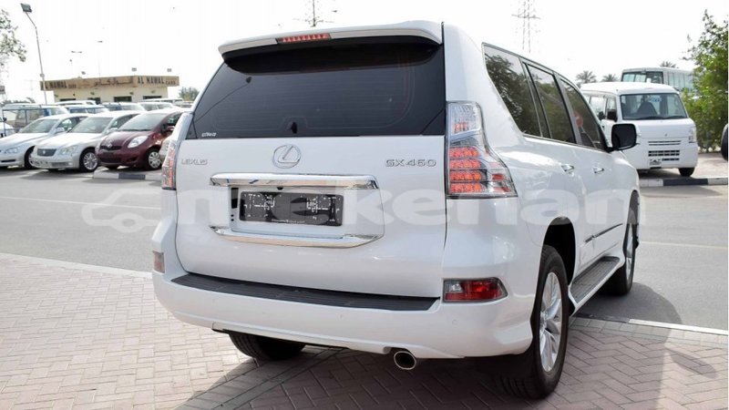 Big with watermark 9dca53d7 4168 48d4 8d9f 8d231ae802ad