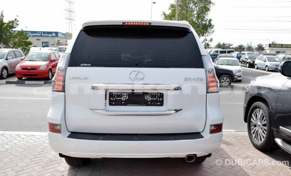Buy Import Lexus GX White Car in Import - Dubai in Aragatsotn Buy Import Lexus GX White Car in Import - Dubai in Aragatsotn