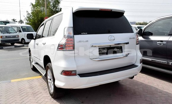 Buy Import Lexus GX White Car in Import - Dubai in Aragatsotn Buy Import Lexus GX White Car in Import - Dubai in Aragatsotn