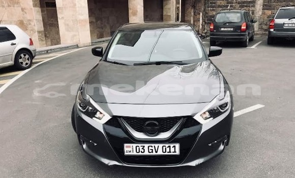 Buy Used Nissan Maxima Black Car in Yerevan in Yerevan
