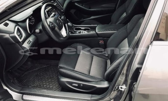 Buy Used Nissan Maxima Black Car in Yerevan in Yerevan Buy Used Nissan Maxima Black Car in Yerevan in Yerevan