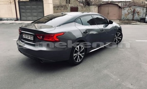 Buy Used Nissan Maxima Black Car in Yerevan in Yerevan Buy Used Nissan Maxima Black Car in Yerevan in Yerevan