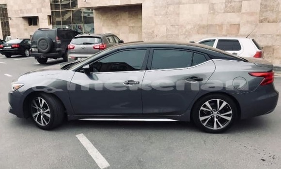 Buy Used Nissan Maxima Black Car in Yerevan in Yerevan Buy Used Nissan Maxima Black Car in Yerevan in Yerevan