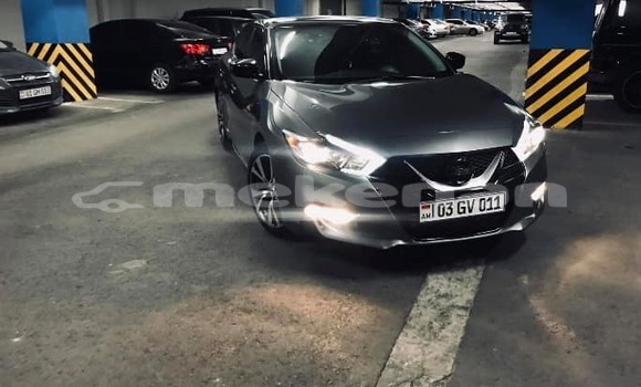 Buy Used Nissan Maxima Black Car in Yerevan in Yerevan Buy Used Nissan Maxima Black Car in Yerevan in Yerevan