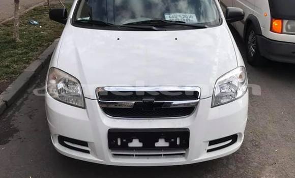 Buy Used Chevrolet Aveo White Car in Yerevan in Yerevan