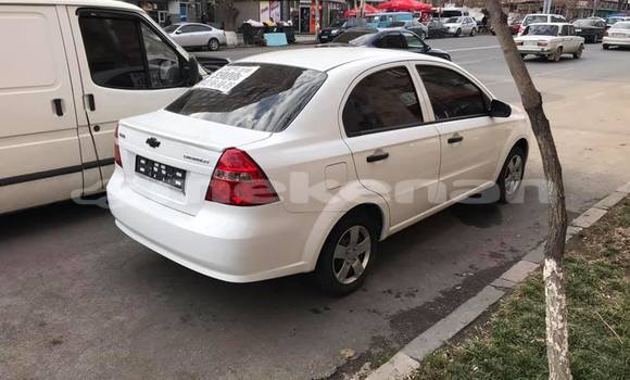 Buy Used Chevrolet Aveo White Car in Yerevan in Yerevan Buy Used Chevrolet Aveo White Car in Yerevan in Yerevan