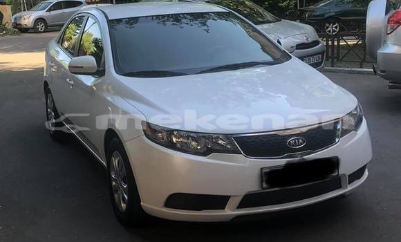 Buy Used Kia Forte White Car in Yerevan in Yerevan Buy Used Kia Forte White Car in Yerevan in Yerevan