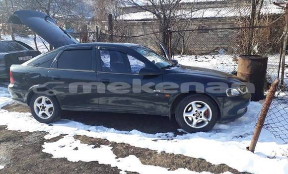 Buy Used Opel Vectra Blue Car in Yerevan in Yerevan Buy Used Opel Vectra Blue Car in Yerevan in Yerevan
