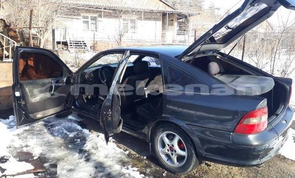 Buy Used Opel Vectra Blue Car in Yerevan in Yerevan Buy Used Opel Vectra Blue Car in Yerevan in Yerevan
