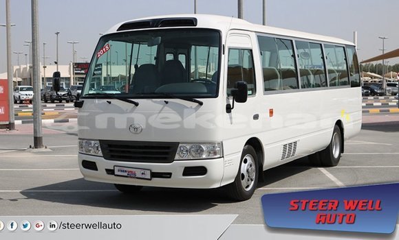 Buy Import Toyota Coaster White Car in Import - Dubai in Aragatsotn Buy Import Toyota Coaster White Car in Import - Dubai in Aragatsotn
