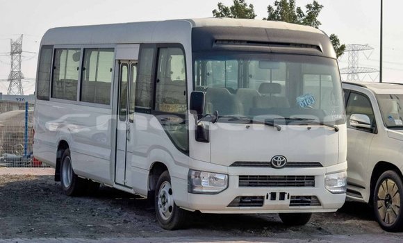 Buy Import Toyota Coaster White Car in Import - Dubai in Aragatsotn Buy Import Toyota Coaster White Car in Import - Dubai in Aragatsotn