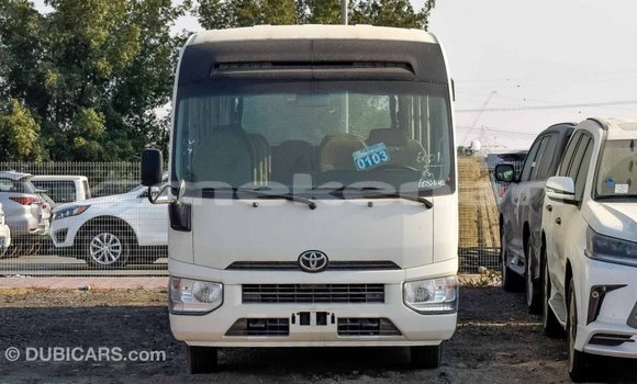 Buy Import Toyota Coaster White Car in Import - Dubai in Aragatsotn Buy Import Toyota Coaster White Car in Import - Dubai in Aragatsotn