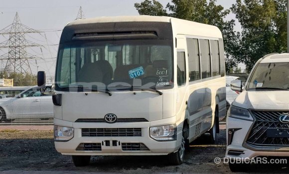 Buy Import Toyota Coaster White Car in Import - Dubai in Aragatsotn Buy Import Toyota Coaster White Car in Import - Dubai in Aragatsotn